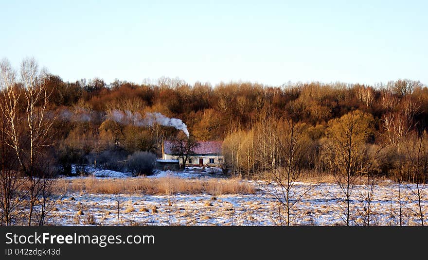 House In The Winter Forest