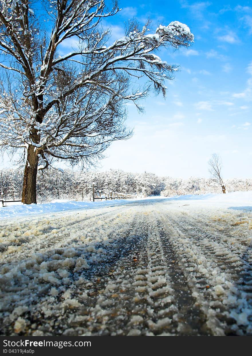 Winter Road