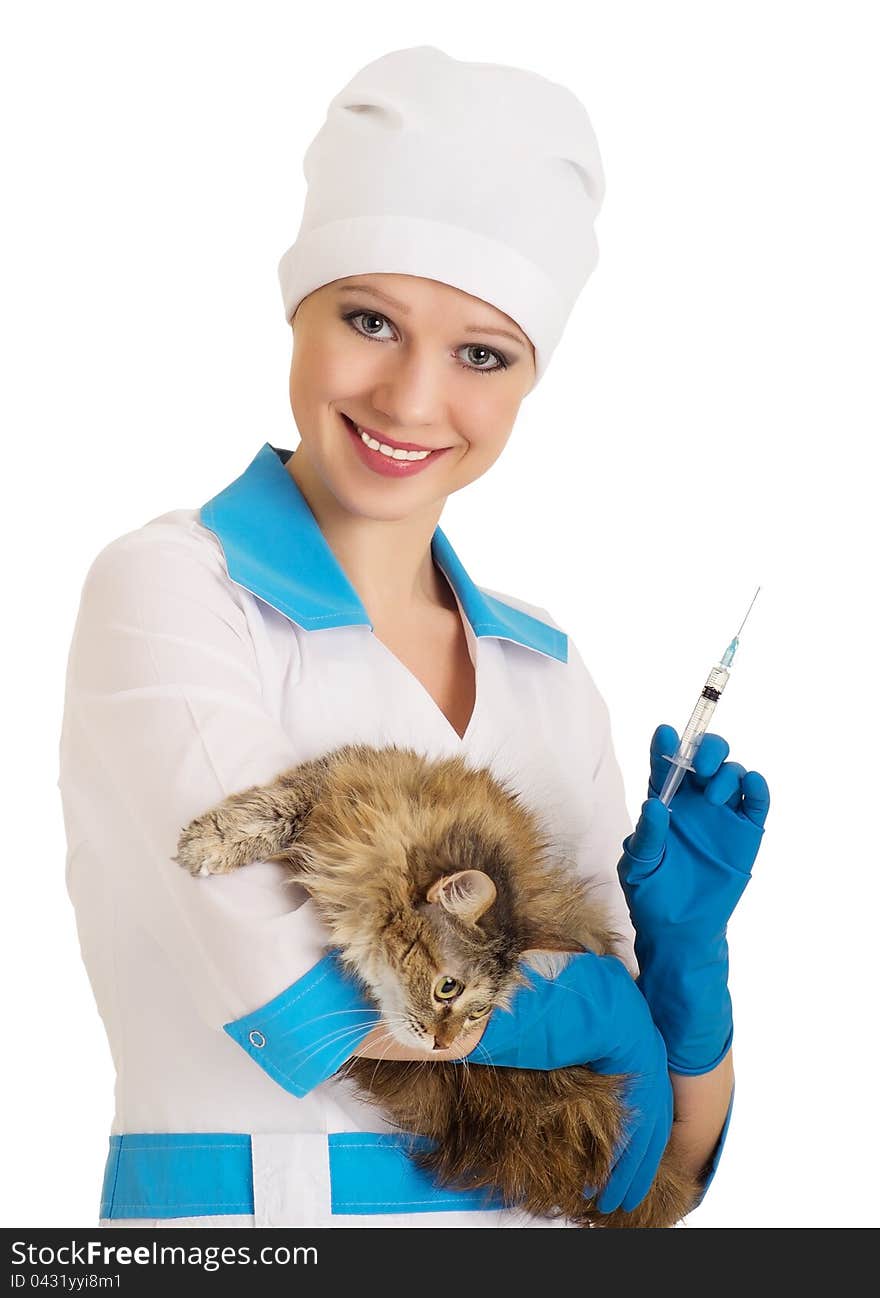 Vet nurse makes the injection of a cat on a white background