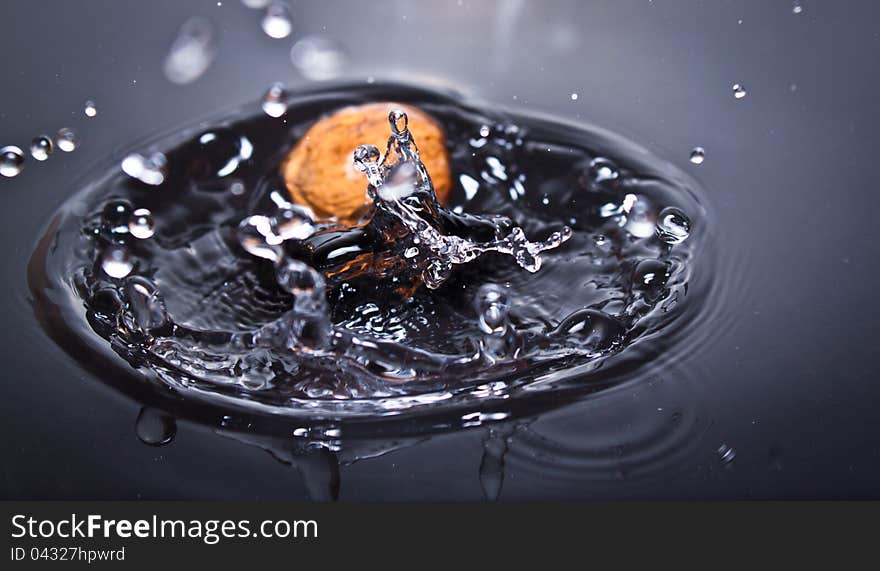 Nut splashing in water catched in the right moment. Nut splashing in water catched in the right moment