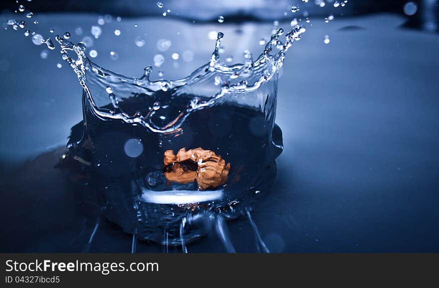 Nut splashing in water catched in the right moment. Nut splashing in water catched in the right moment