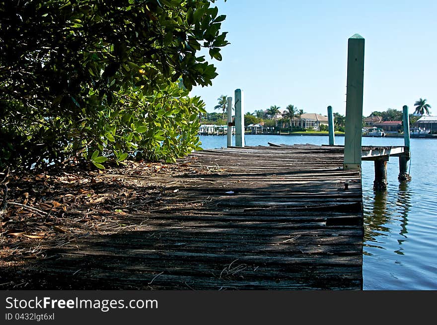 Old wooden pier with over grown plants