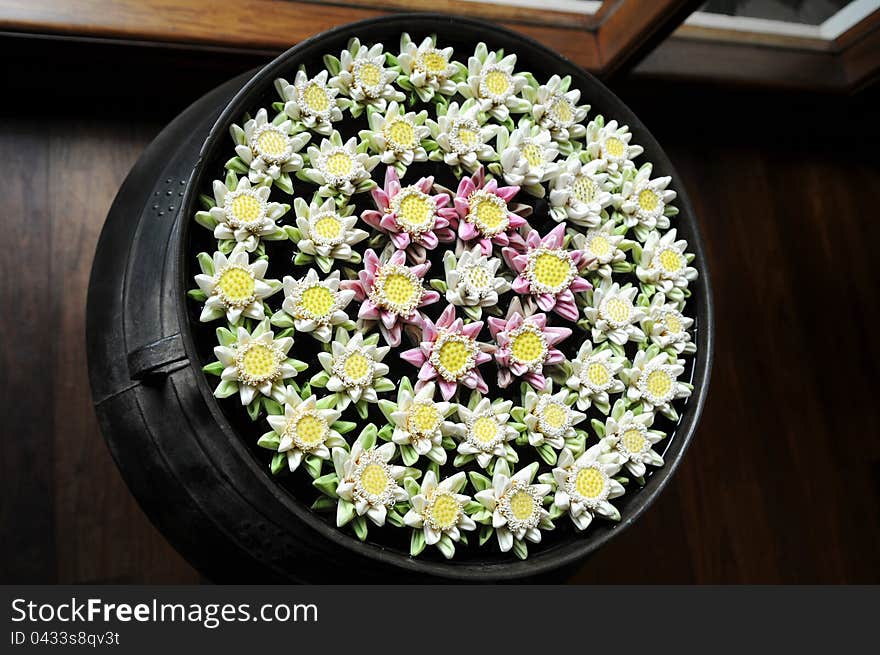 Lotus flowers in the bowl