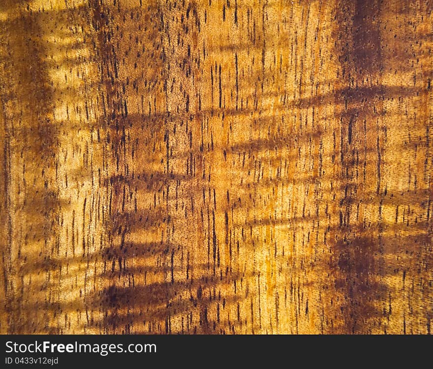 Background of wood texture