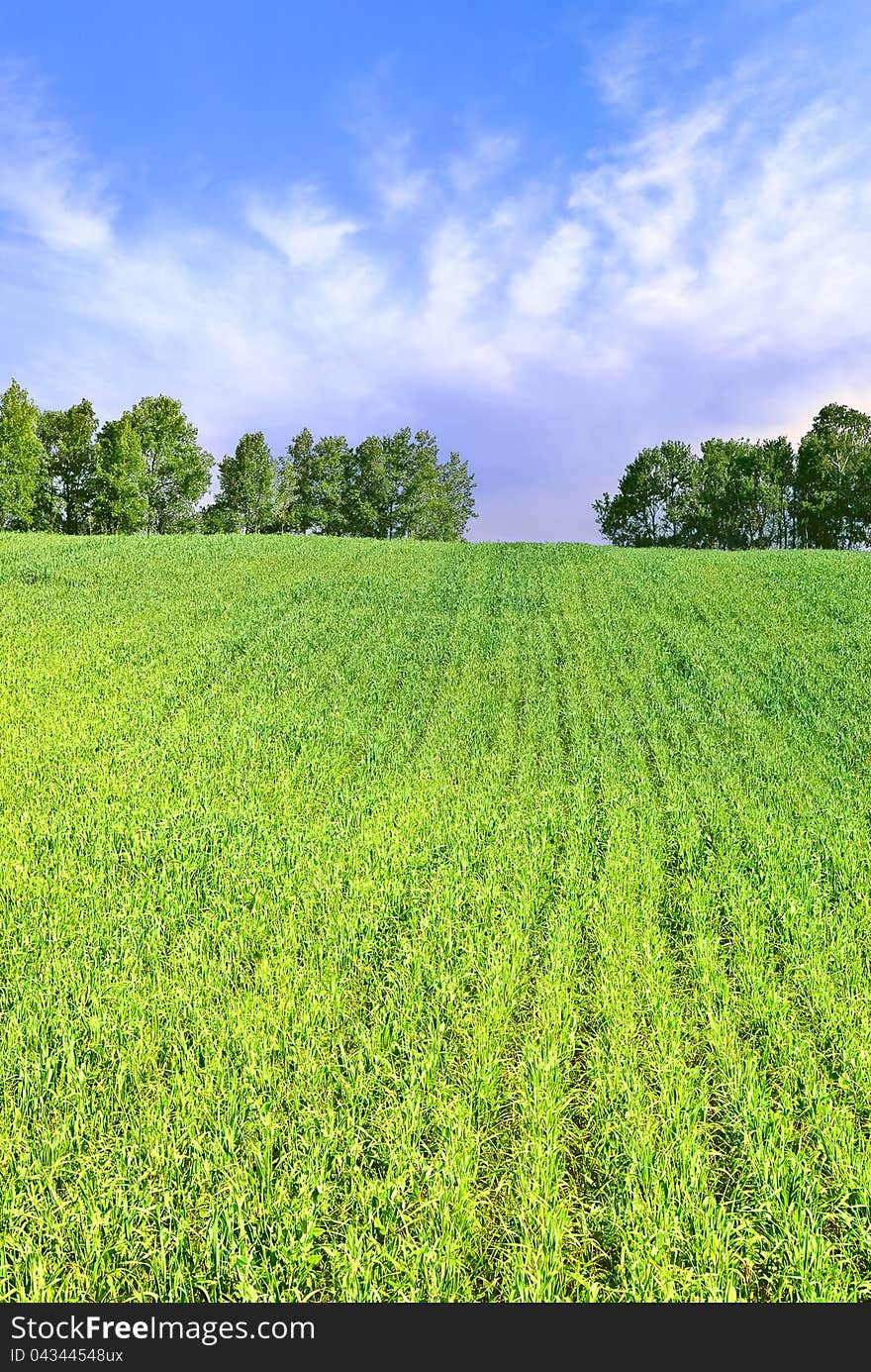 Storm cloud over a green field. Storm cloud over a green field