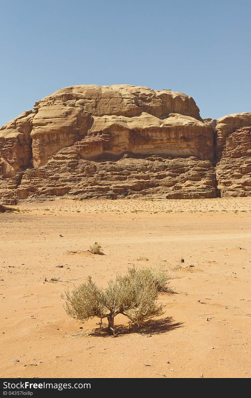 View of the desert in the Wadi Rum