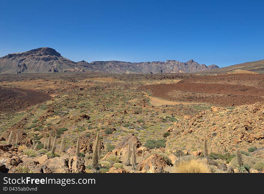 Volcanic desert landscape