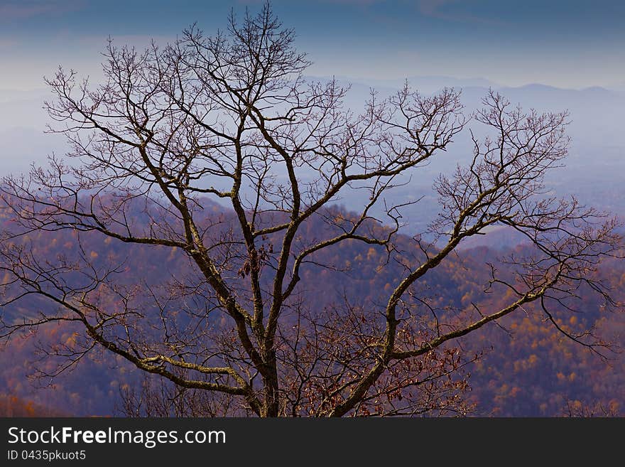 Mist covered Appalachian mountains, in North Carolina in autumn, at sunset. Mist covered Appalachian mountains, in North Carolina in autumn, at sunset