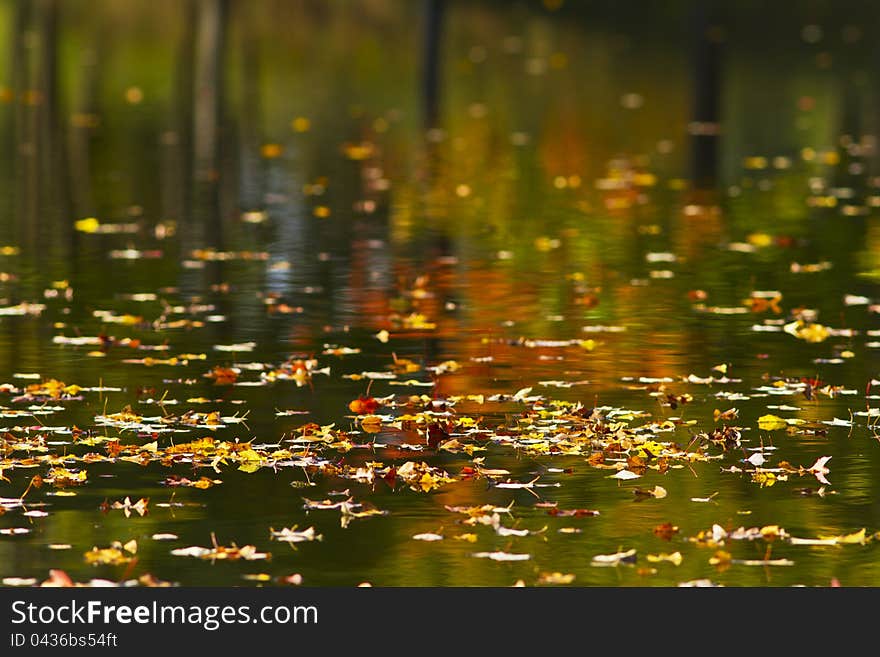 Autumn Foliage Reflection In Lake