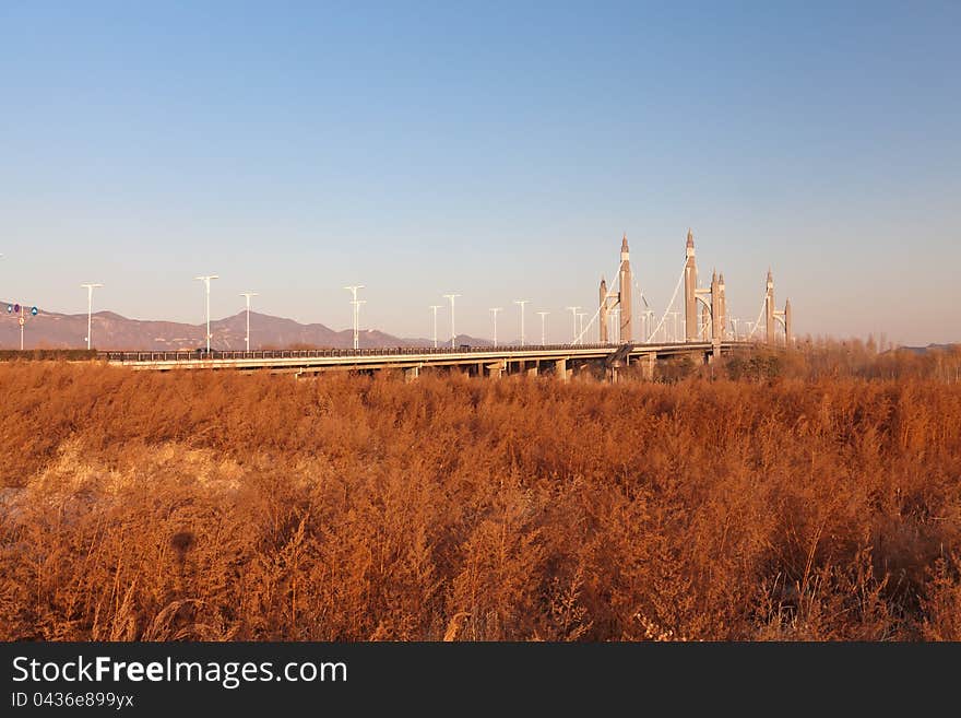 Road Bridge Across The Wilderness