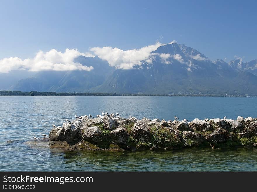 Landscape with a lake and mountains, near the town of Montreux. Landscape with a lake and mountains, near the town of Montreux