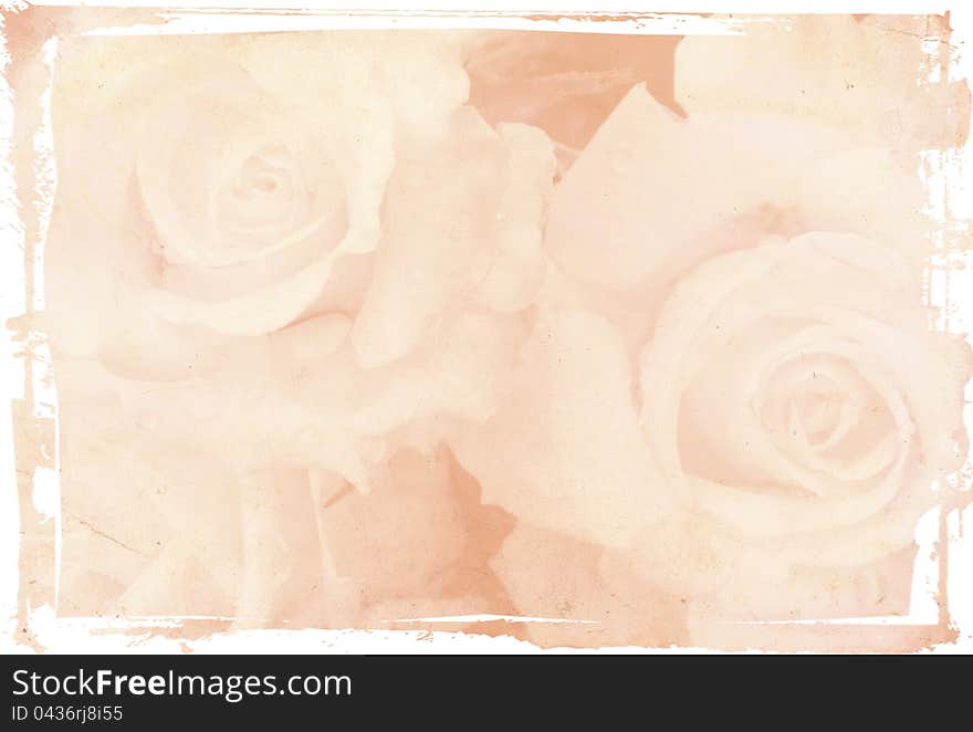 Delicate roses on grunge background. Texture and color processing.