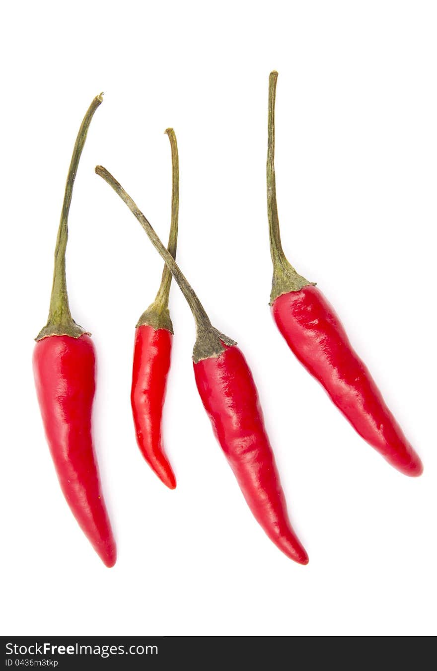 Fresh red chilli isolated on white background