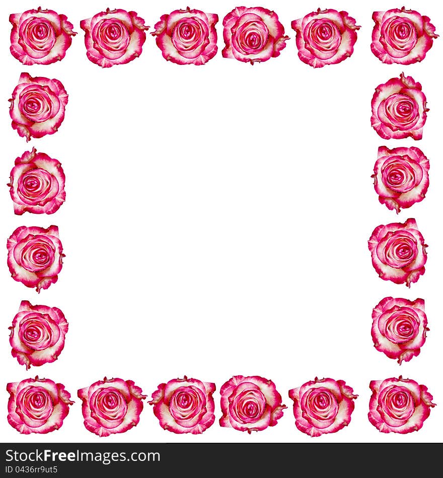 Creative frame made from roses. Abstract background. Creative frame made from roses. Abstract background