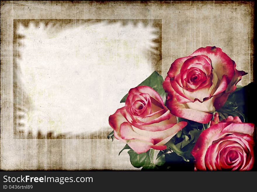 Roses on grunge background. Texture and color processing.