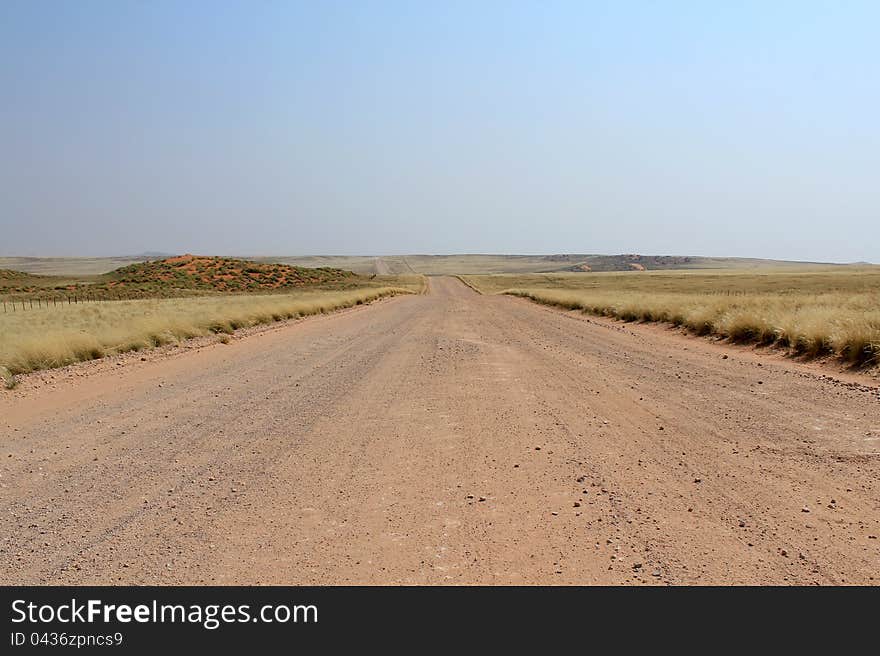 Grassy Savannah in Naukluft Park, Namiba (Road to Sesriem from Windoek)