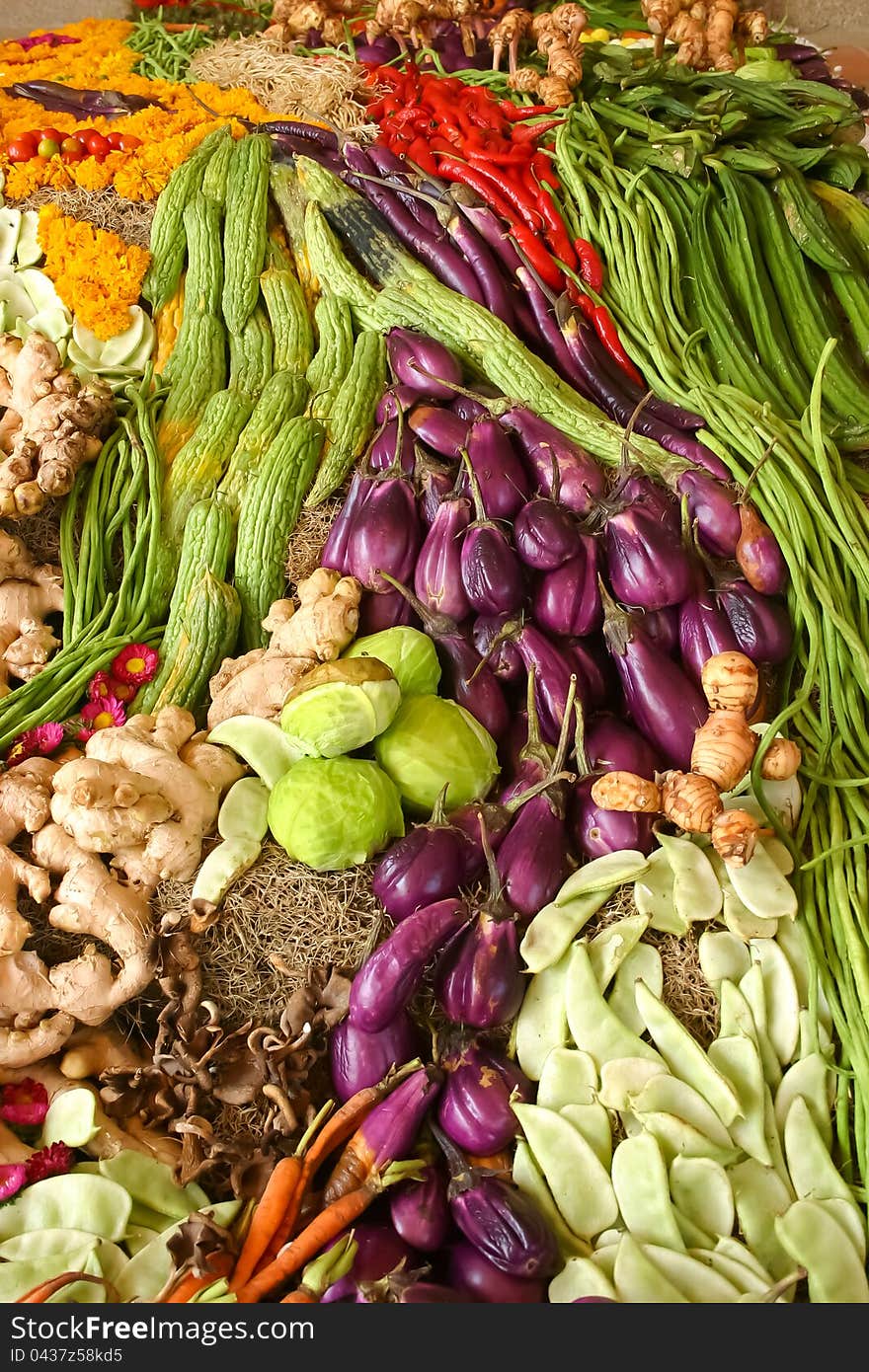 Assortment of fresh vegetables