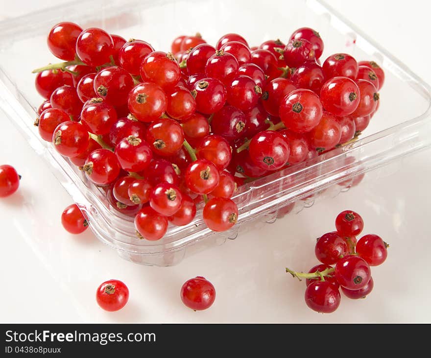 Fresh Red Currants