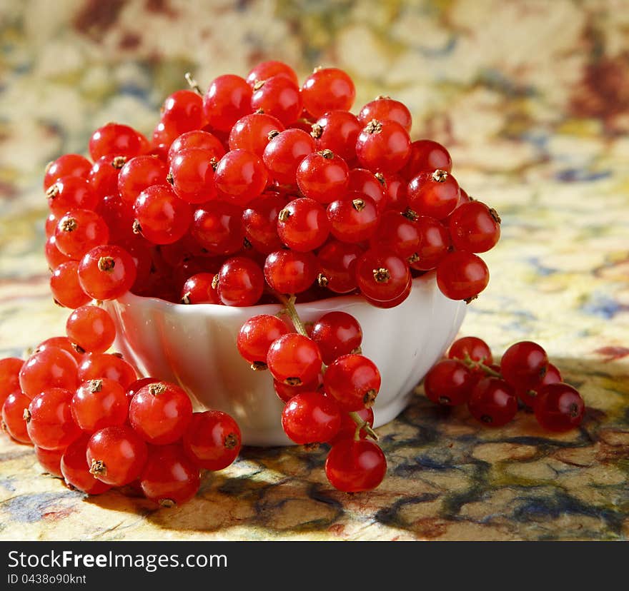 Fresh Red Currants