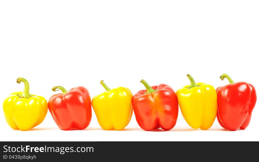 Red and yellow paprika peppers line on a white background