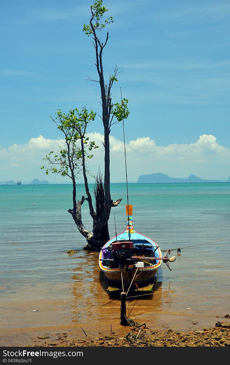 Boat And Tree, Thailand