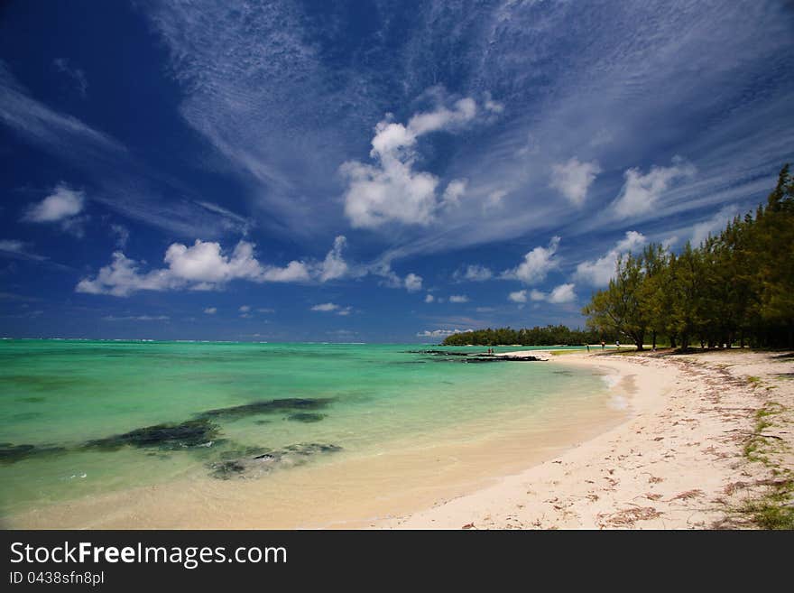 Tropical Beach