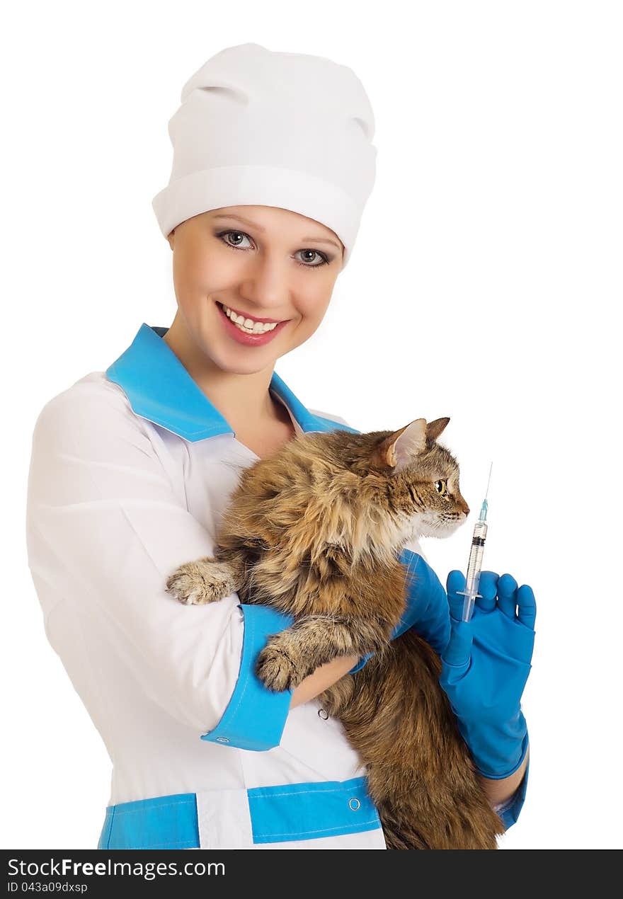 Veterinarian holding a cat and a syringe on a white background