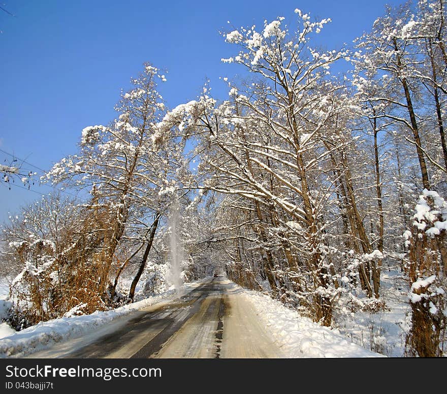 Image of a single car on a snowed road under snowed trees. Image of a single car on a snowed road under snowed trees