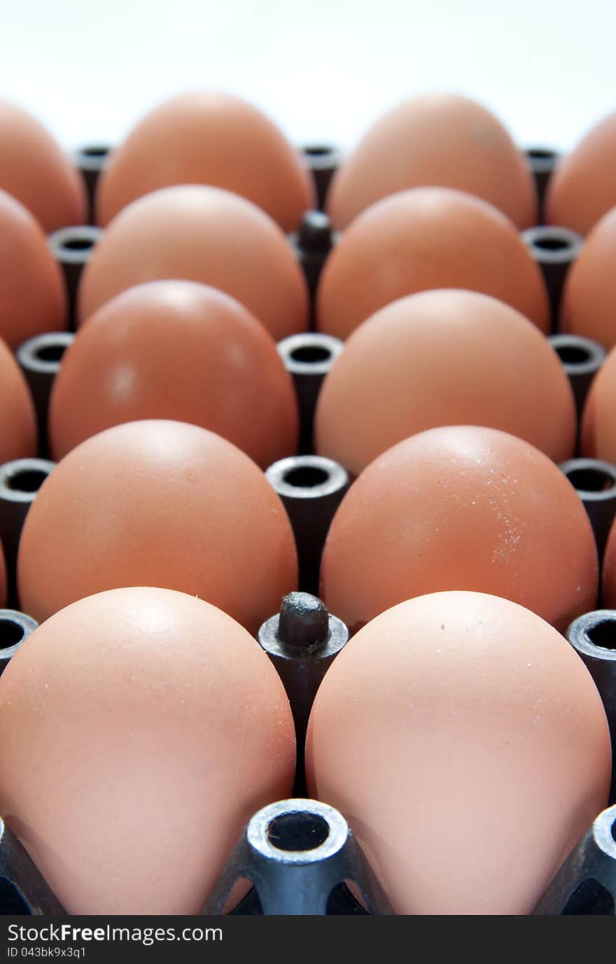 Close up of eggs in black plastic container