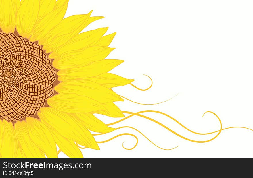 Vector sunflower.