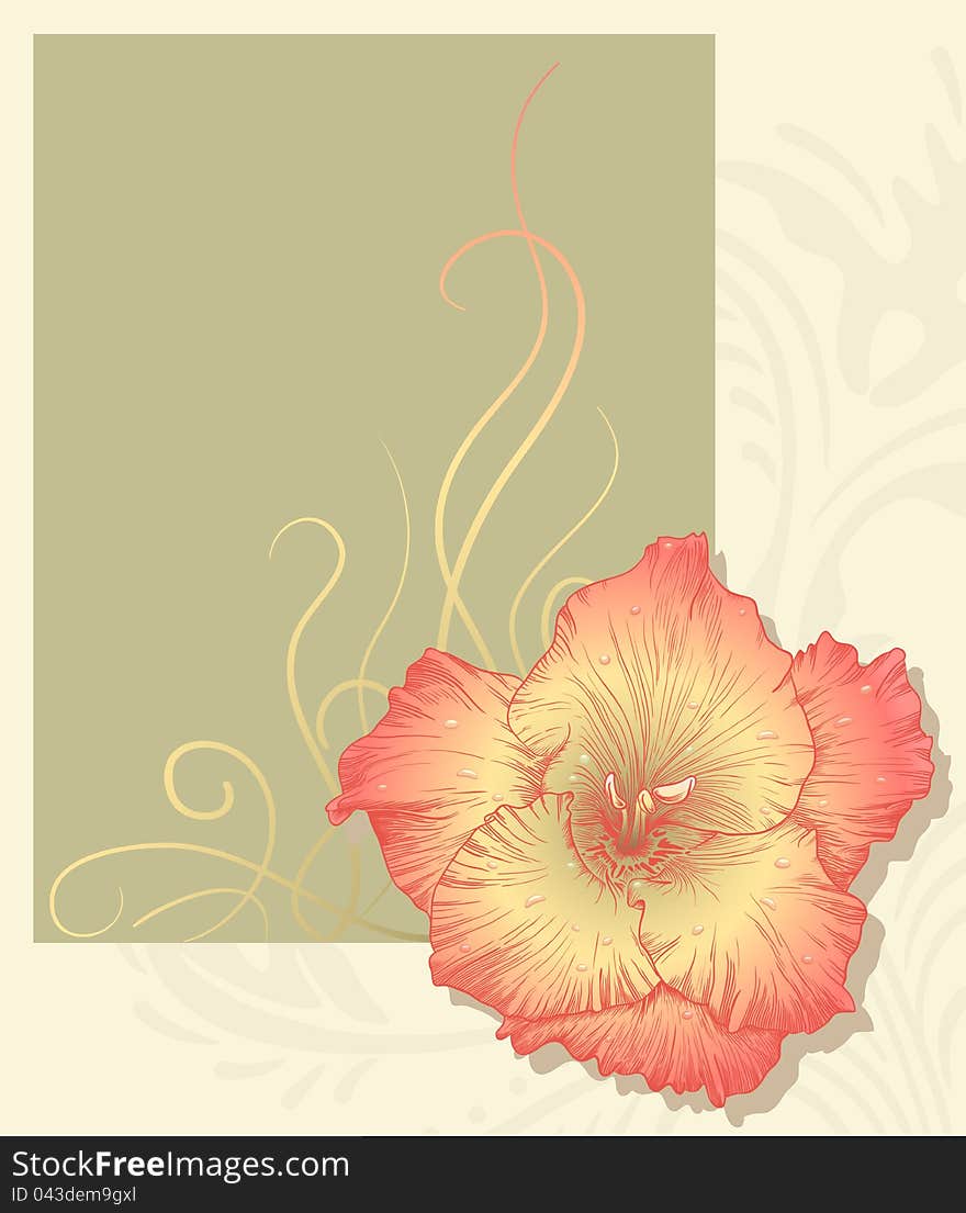 Vector greeting card.