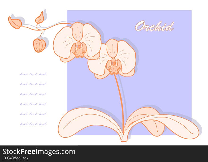 Vector orchid.