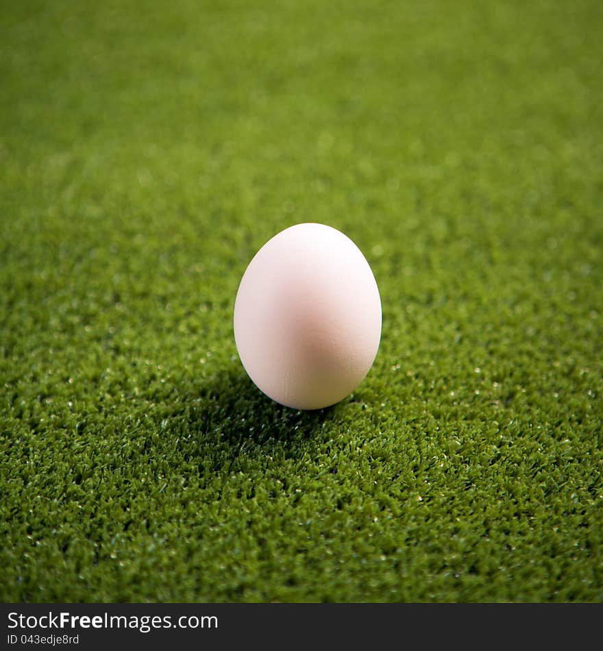 Egg On The Lawn