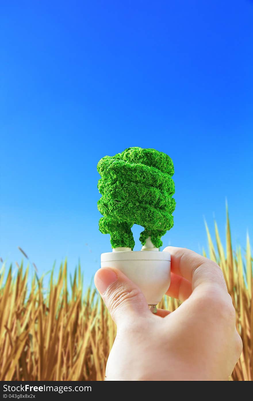 Hand holding eco light bulb on hay background,  energy concept