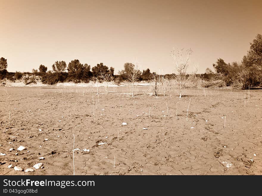 Dry lake bed in august