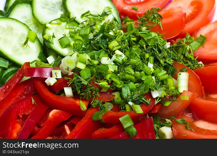 Salad of fresh season vegetables with olive oil. Salad of fresh season vegetables with olive oil