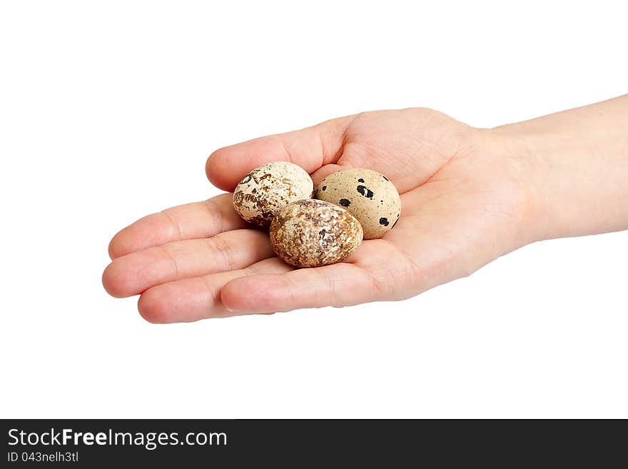 Woman hand with quail eggs. Isolated on white background