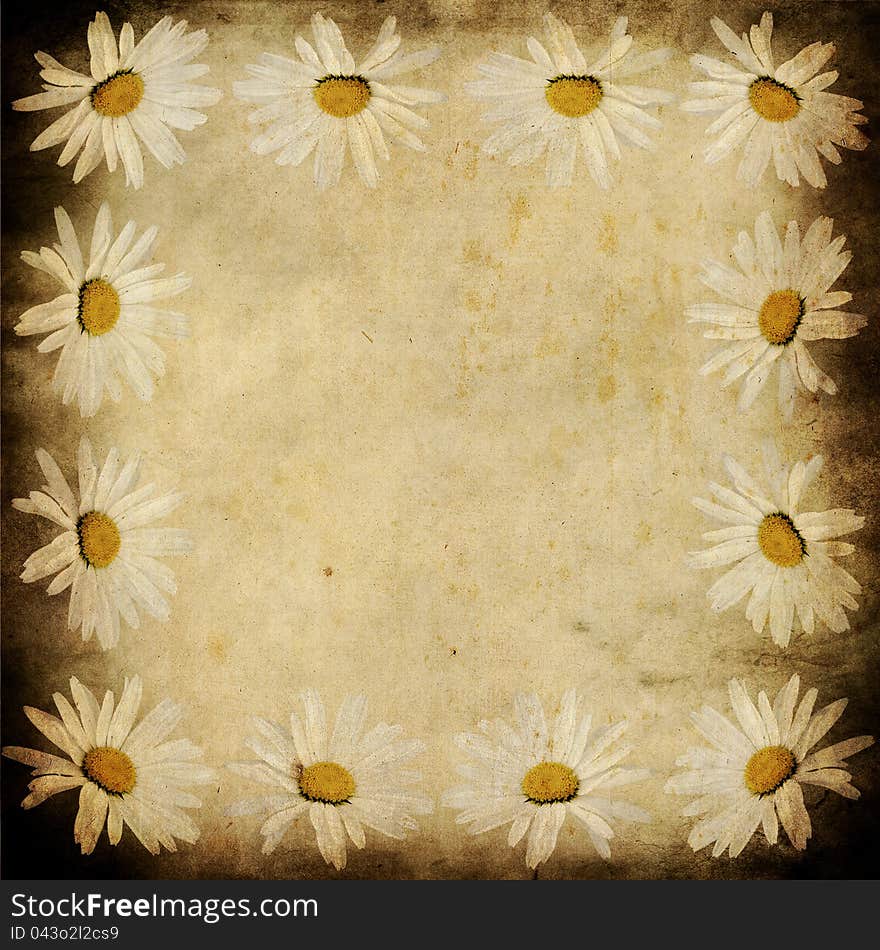 Grunge camomile frame. Old postcard, design in grunge and retro style.