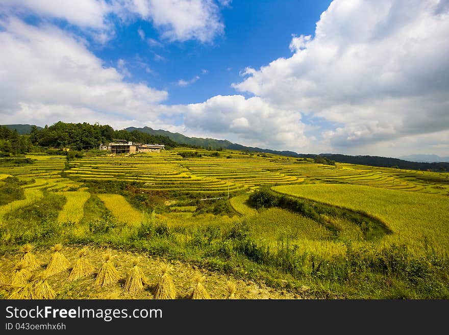 The view of cole's mountains in summer of Guizhou in China. The view of cole's mountains in summer of Guizhou in China.