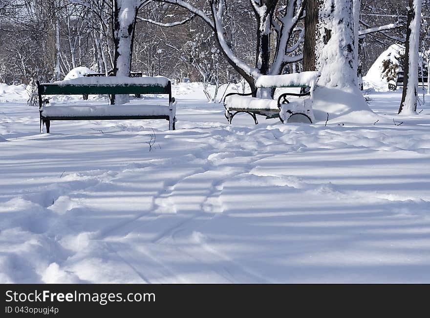 Park in winter, raw