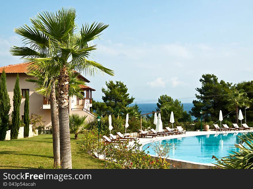 Swimming Pool And Tropical