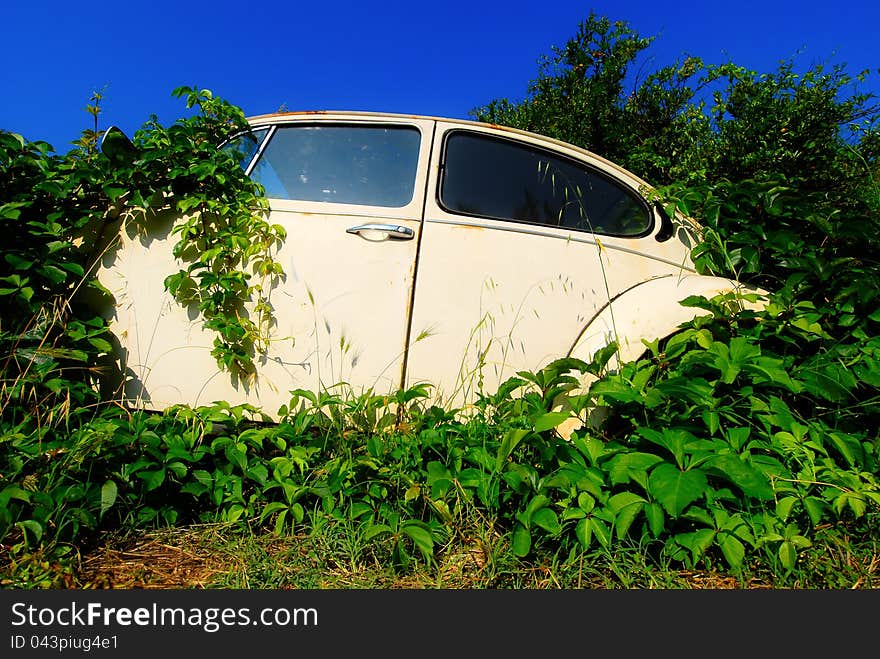 Old car, abandoned and overgrown. Old car, abandoned and overgrown