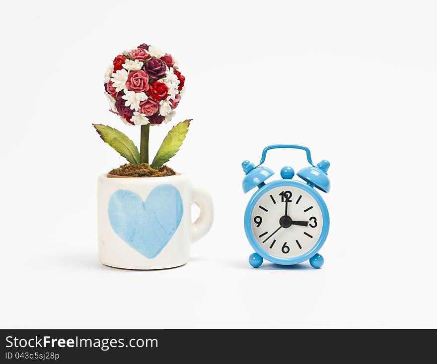 Blue alarm clock with cup of rose flower isolated on white background