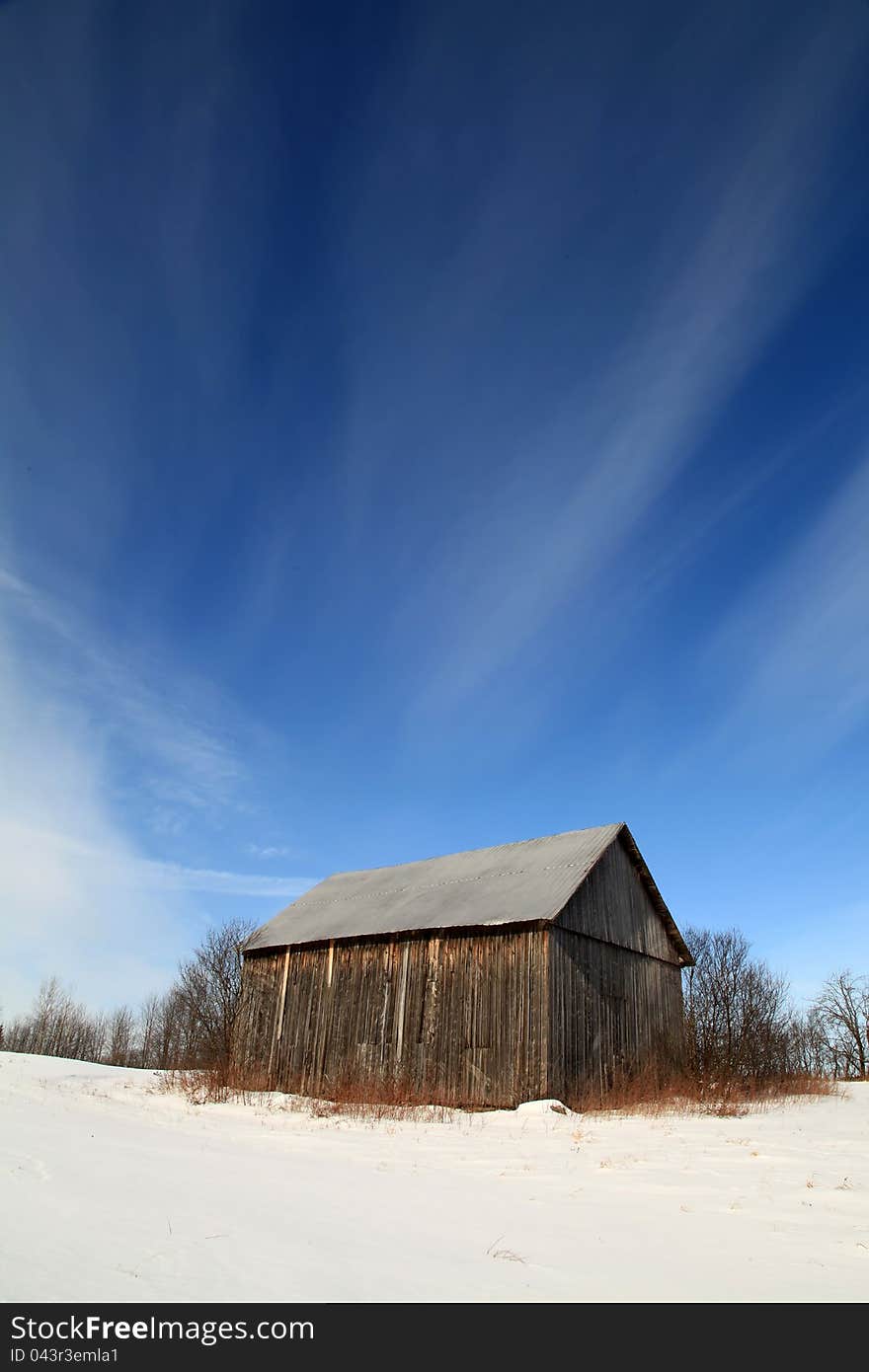 Bright winter morning in a field