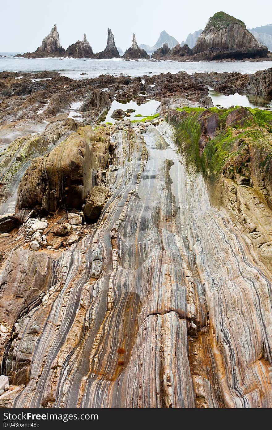 Beach with stone lines and many seaweeds in a cloudy day. Beach with stone lines and many seaweeds in a cloudy day