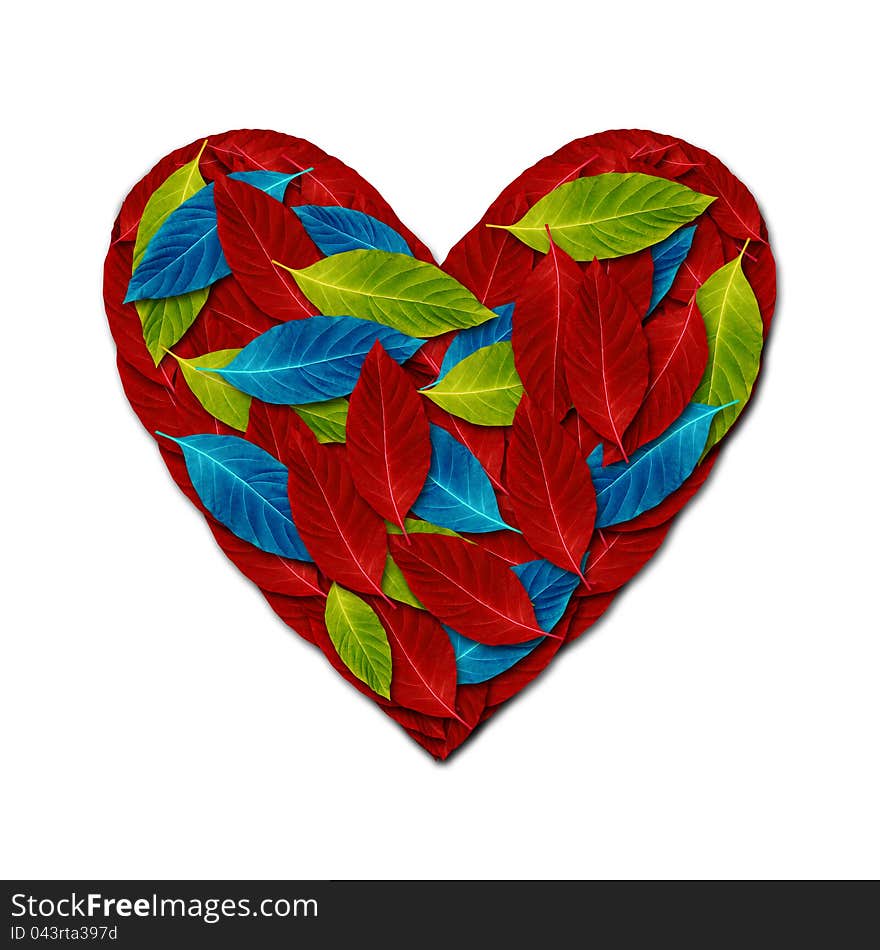 Heart by variety color leaf