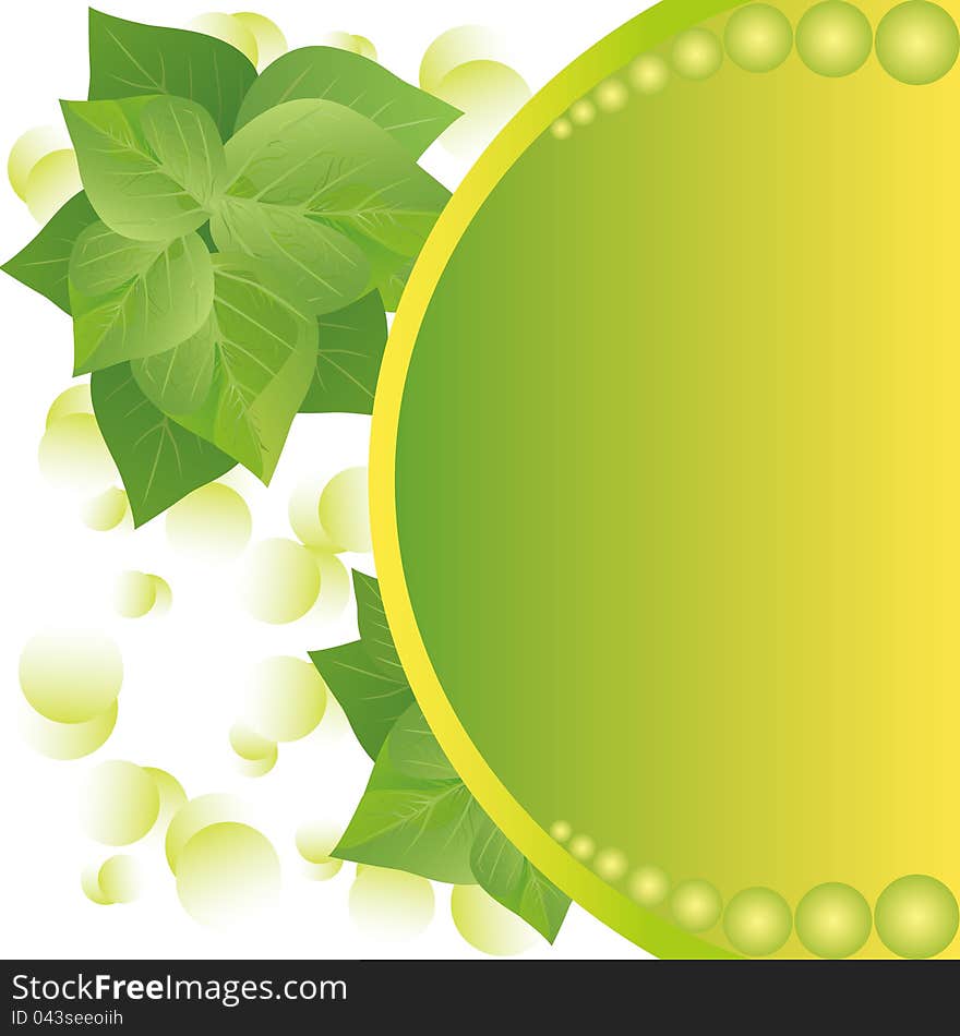 Eco background with fresh green leaves and sun, place for text