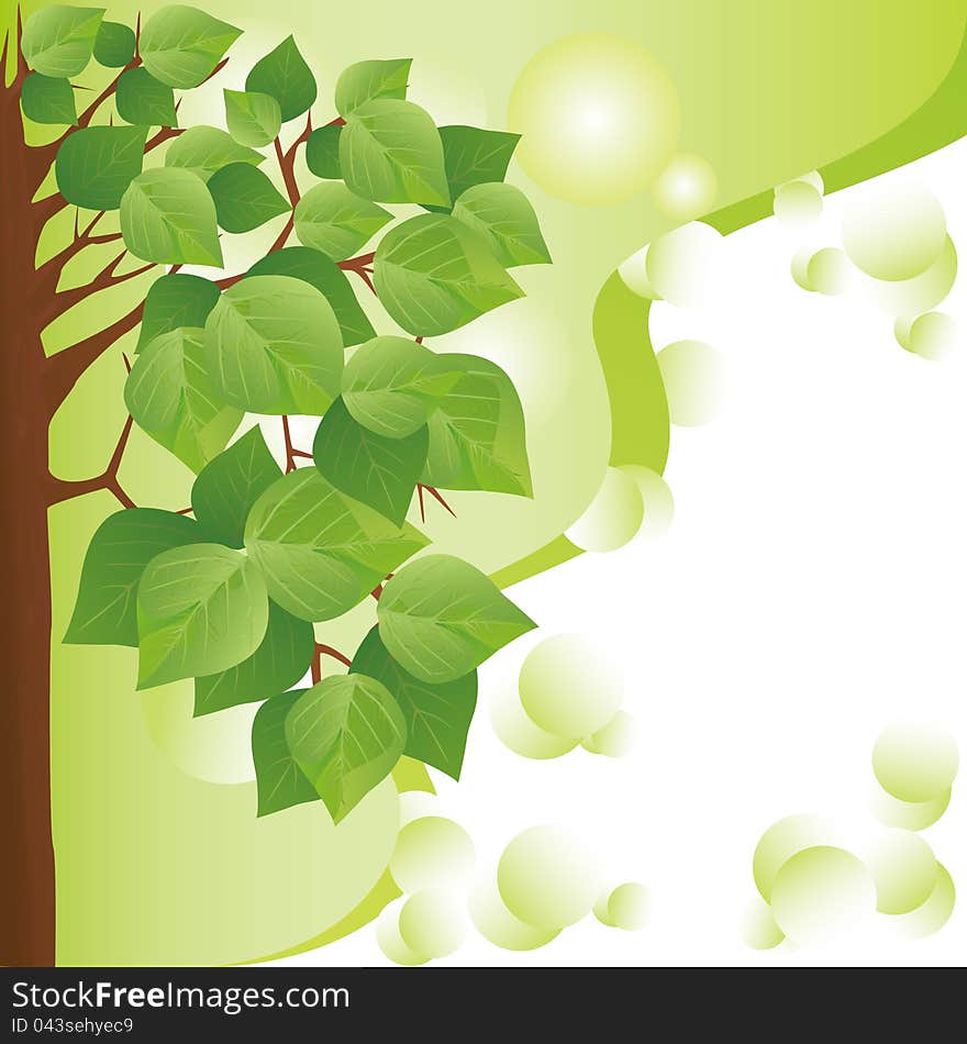 Eco background with green tree. Place for text