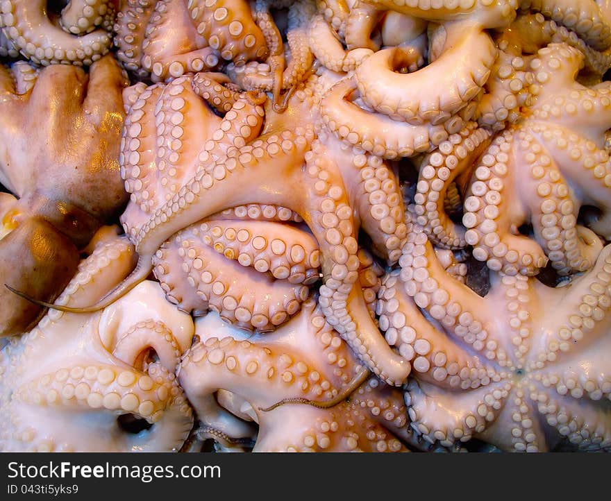 Fresh octopus on a fish-market