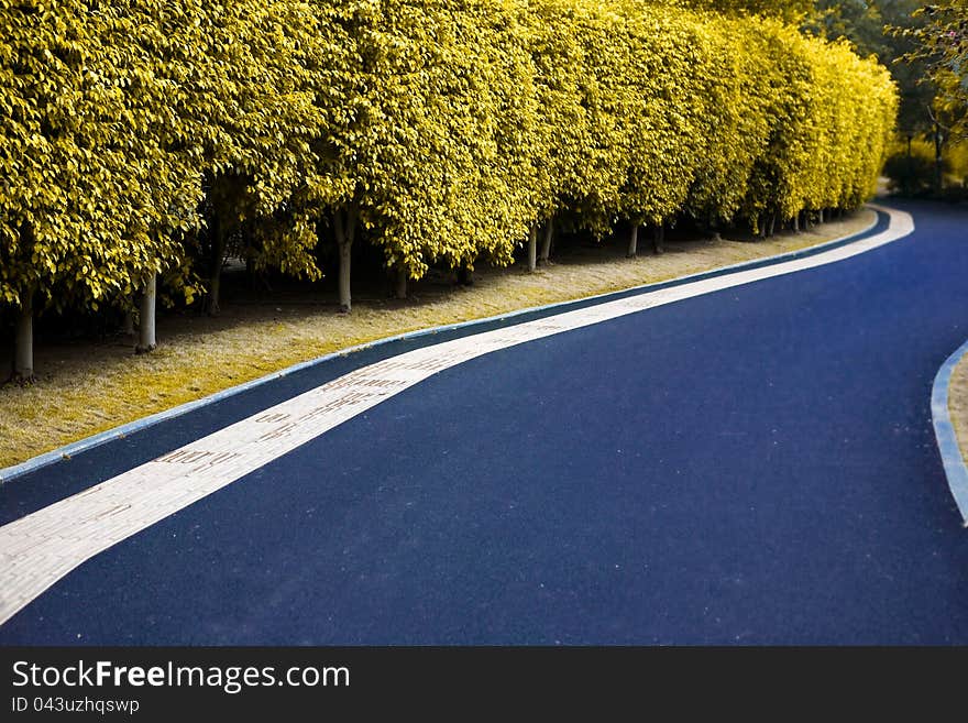 Curved road with yellow trees in autumn